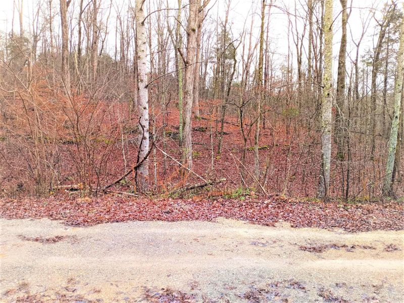 112 Paint Rock Tr, Philadelphia, TN 37846