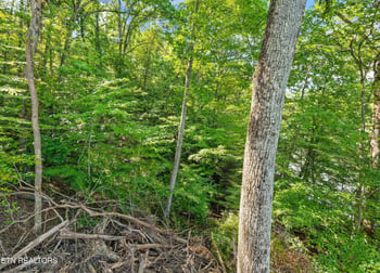 112 Thief Neck Dr, Rockwood, TN 37854