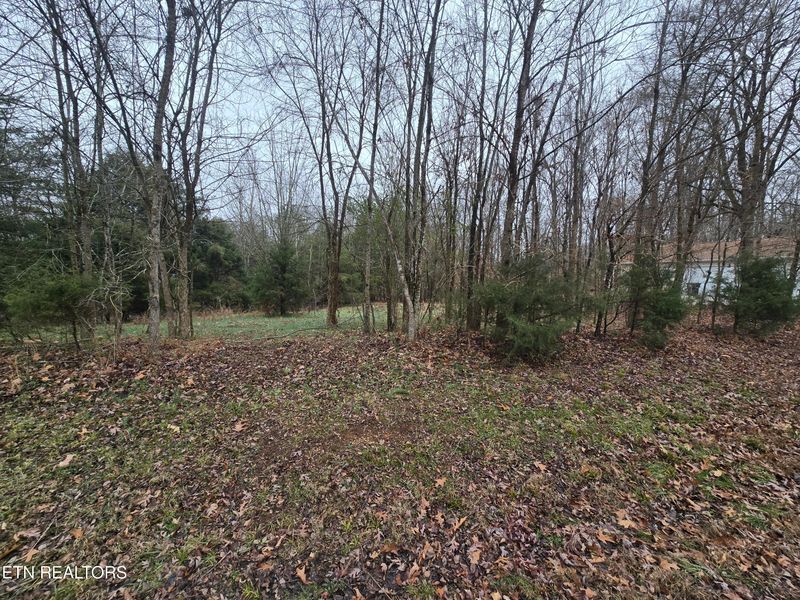 112 Unole Tr, Vonore, TN 37885