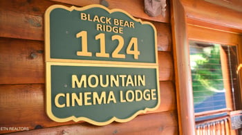 1124 Black Bear Cub Way, Sevierville, TN 37862