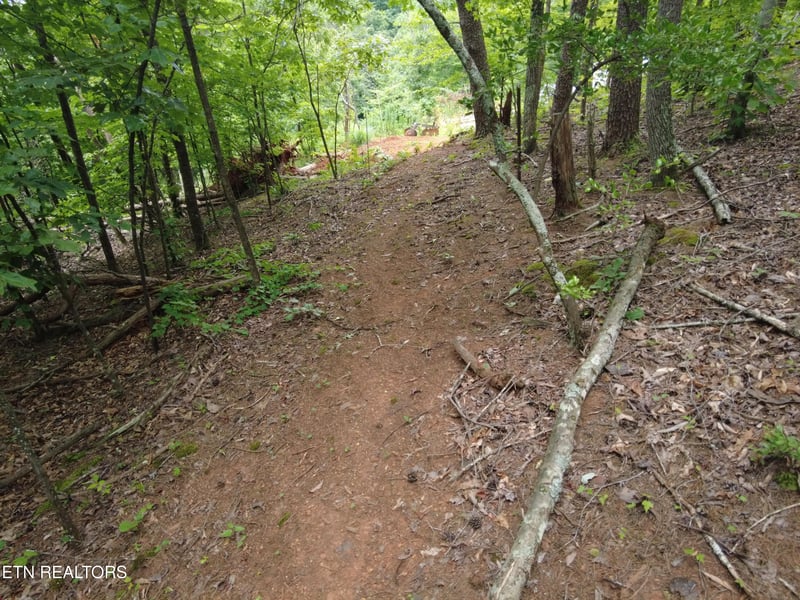 1124 Galyon Rd, Maryville, TN 37803