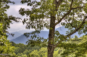 1125 Tanrac Tr, Gatlinburg, TN 37738