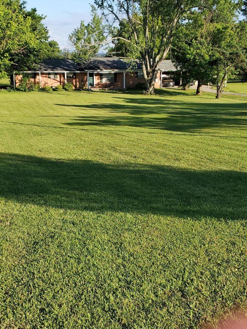 1127 Cherokee Dr, Madisonville, TN 37354