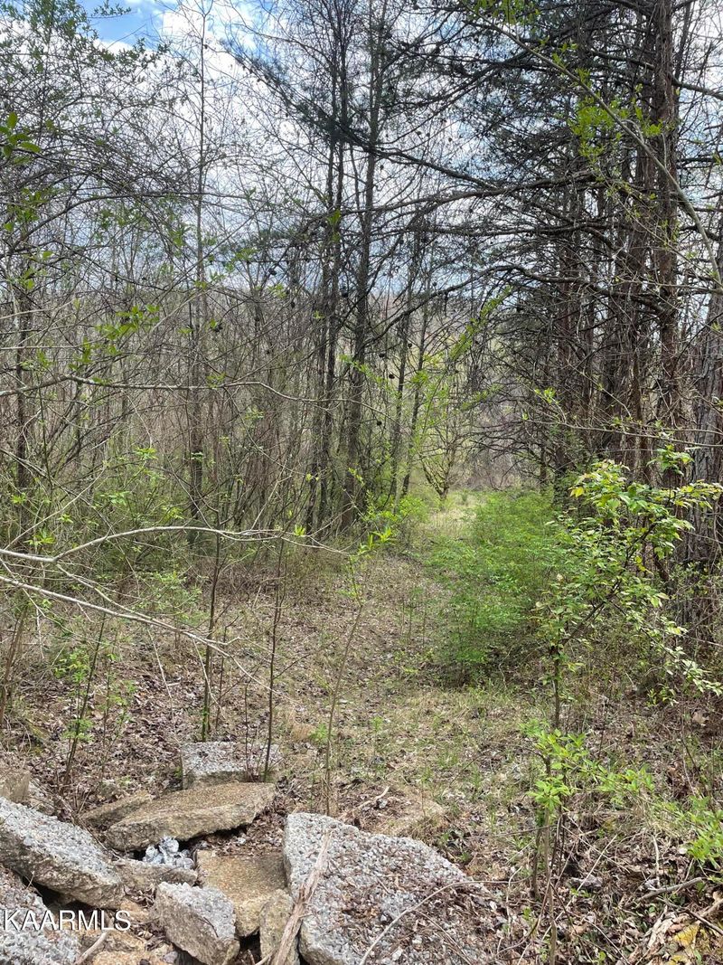 1127 Mountain View Rd, Rockwood, TN 37854