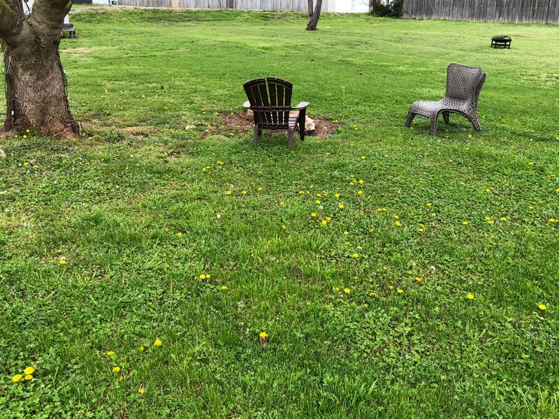 1128 Cannon Ave, Sweetwater, TN 37874