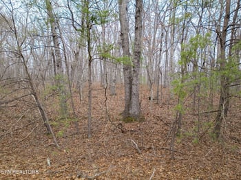 113 Cliffside Dr, Crossville, TN 38558