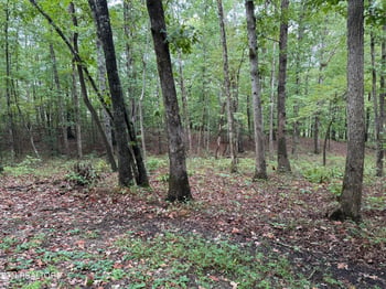 113 Hunterwood Ln, Crossville, TN 38558