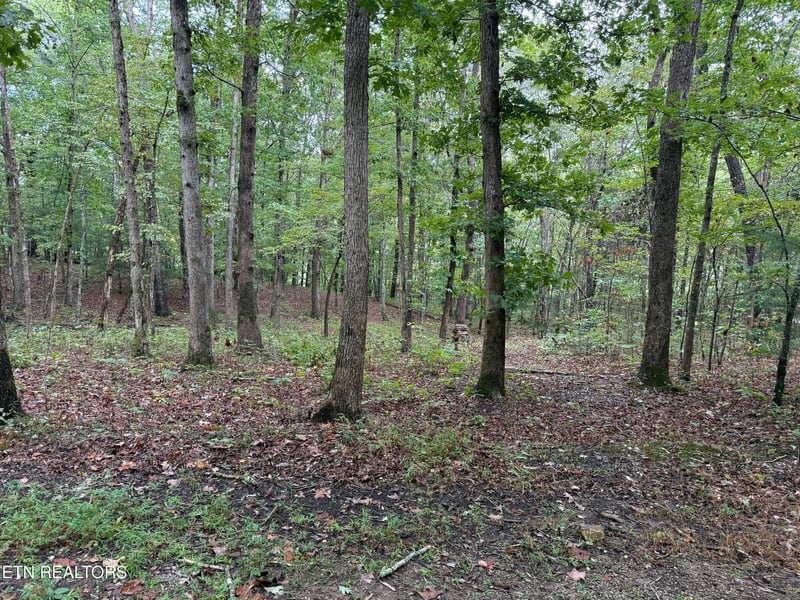 113 Hunterwood Ln, Crossville, TN 38558