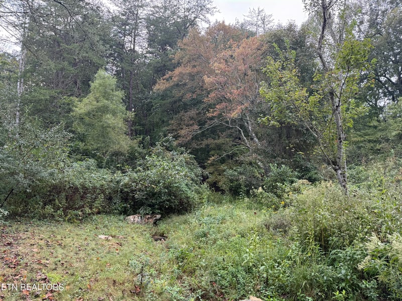 113 Hunterwood Ln, Crossville, TN 38558