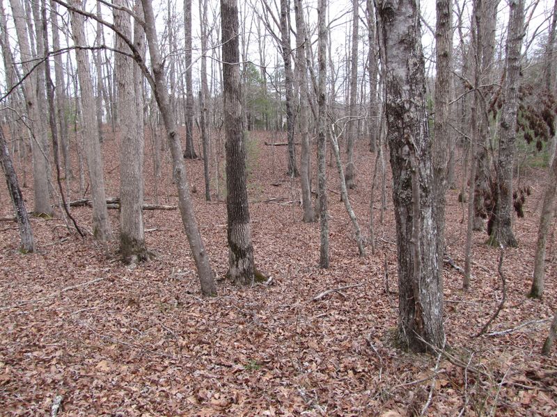 113 Hunterwood Ln, Fairfield Glade, TN 38558