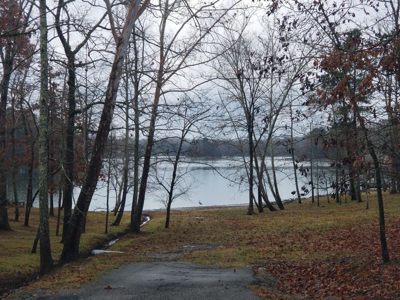 113 Lake Shadows Dr, Ten Mile, TN 37880