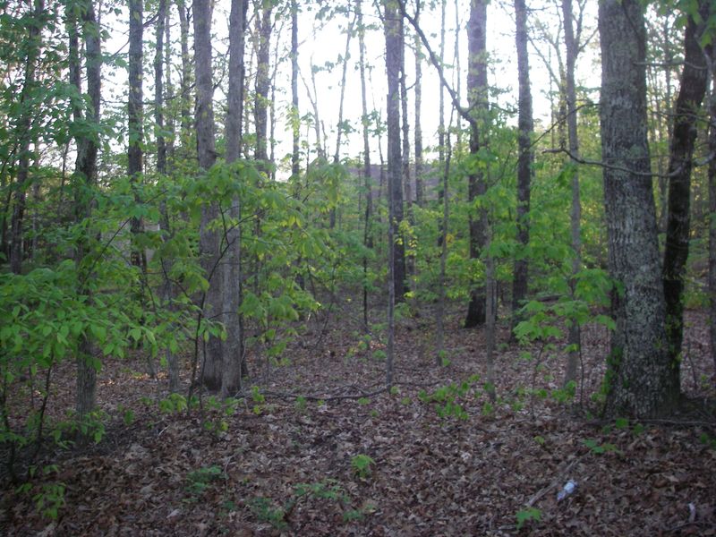 113 Lakeside Dr, Fairfield Glade, TN 38558