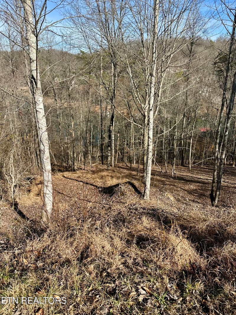 113 Laurel Way, Lafollette, TN 37766