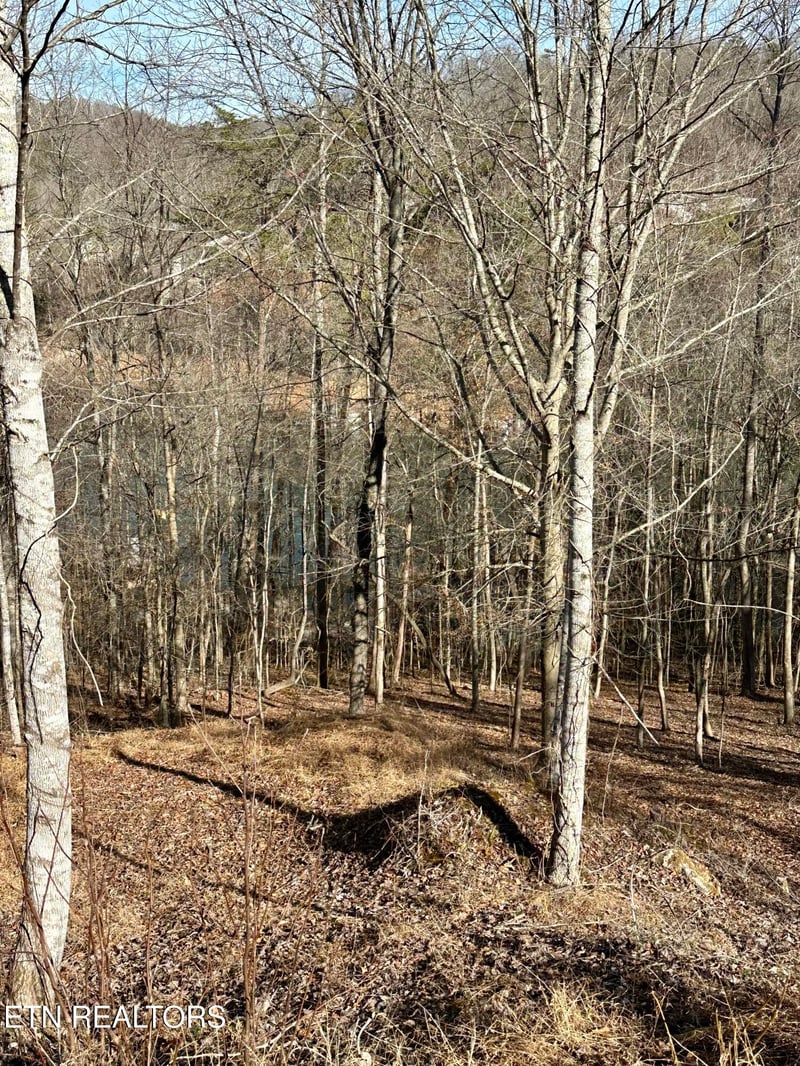 113 Laurel Way, Lafollette, TN 37766