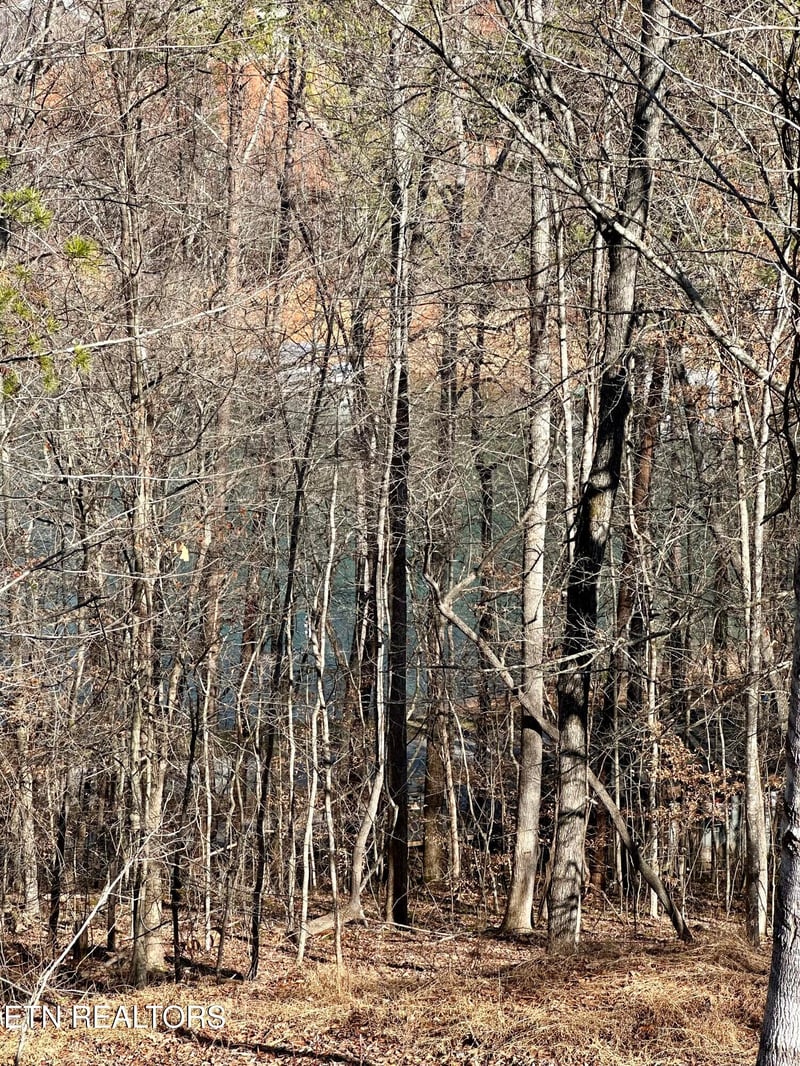 113 Laurel Way, Lafollette, TN 37766
