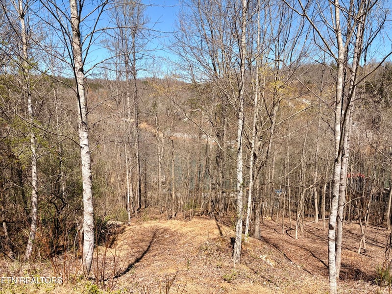 113 Laurel Way, Lafollette, TN 37766
