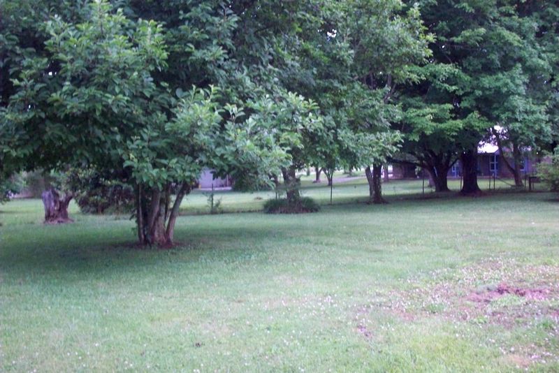 113 Memorial Dr, Maryville, TN 37803