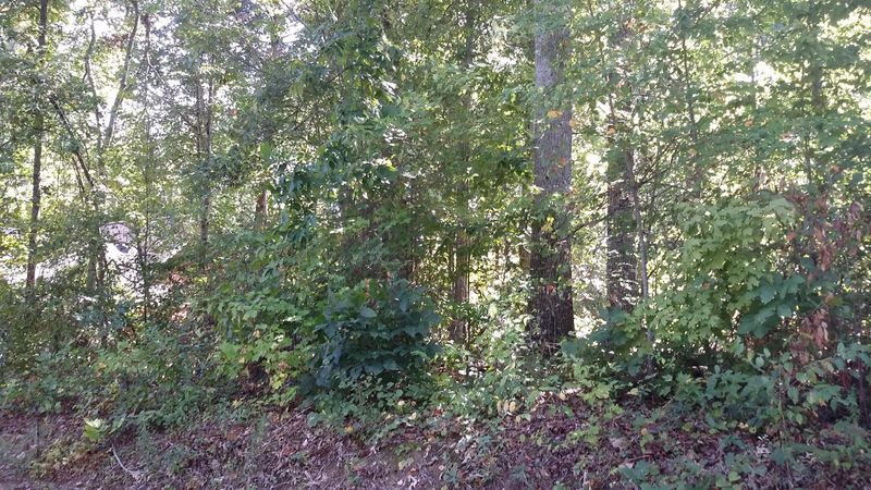 113 Oligi, Loudon, TN 37774