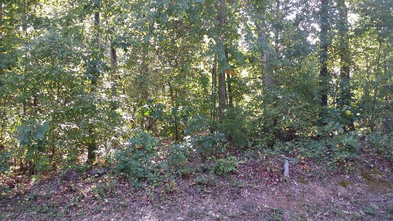 113 Oligi, Loudon, TN 37774