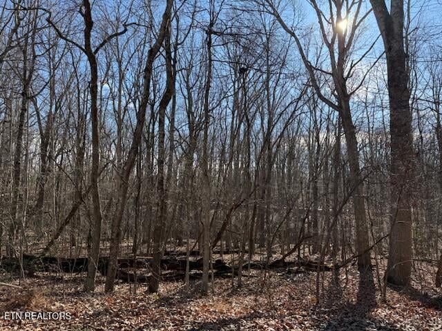 113 Overlook Cv, Crossville, TN 38558