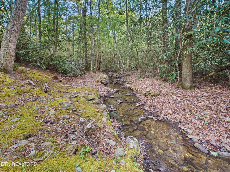 113 Rivendell Ln, Tellico Plains, TN 37385