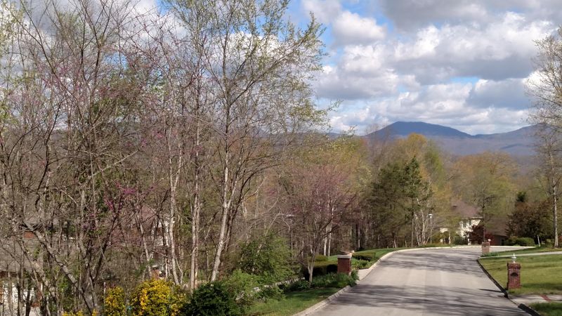 113 William Ln, Oak Ridge, TN 37830