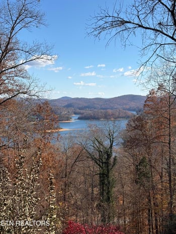 1130 Lakeview Dr, Sharps Chapel, TN 37866