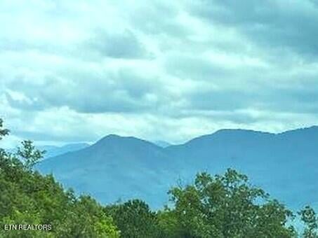 1130 Ski View Dr #109, Gatlinburg, TN 37738