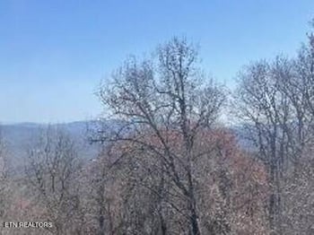 1130 Ski View Dr #109, Gatlinburg, TN 37738