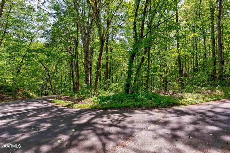 1130 Ski View Ln, Sevierville, TN 37876