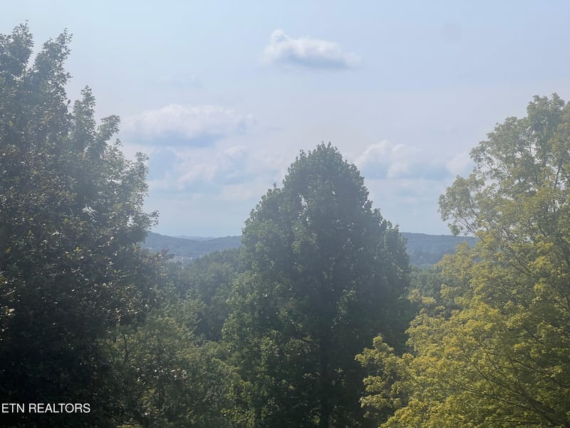 11301 Clear Point Dr, Knoxville, TN 37932