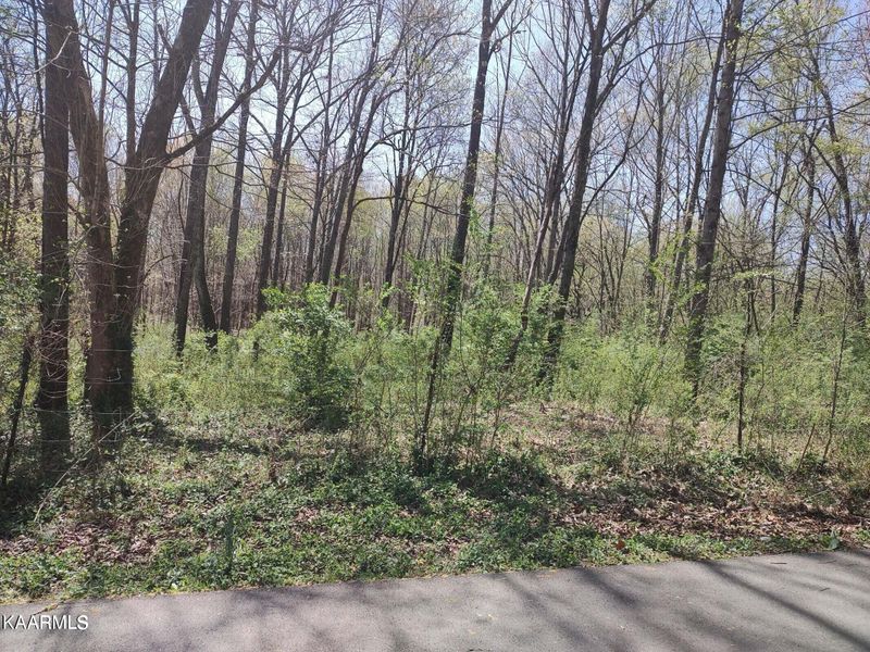 11308 Sam Lee Rd, Knoxville, TN 37932