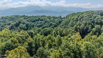 1131 Tanrac Tr, Gatlinburg, TN 37738