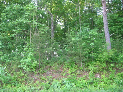 11332 Sam Lee Rd, Knoxville, TN 37932