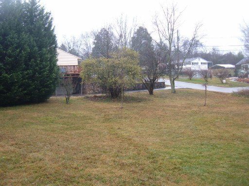 1134 Withlow, Knoxville, TN 37912