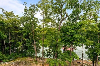 114 Bluff Tc, Jacksboro, TN 37757
