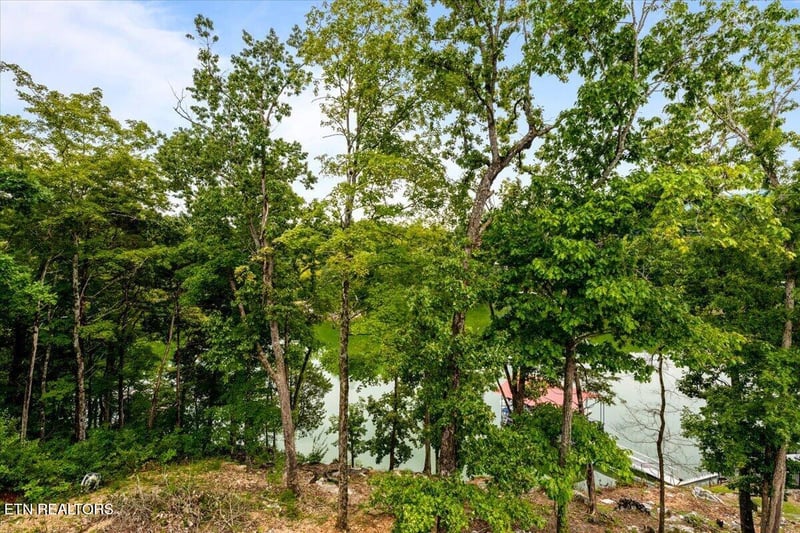 114 Bluff Tc, Jacksboro, TN 37757