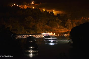 114 E Harbor View Ln, Lafollette, TN 37766