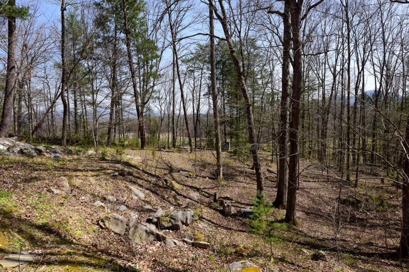 114 Fairway Cir, Townsend, TN 37882
