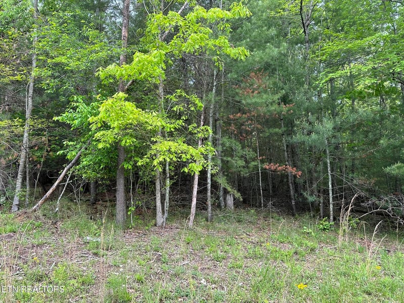 114 Forest Hill Dr, Fairfield Glade, TN 38558