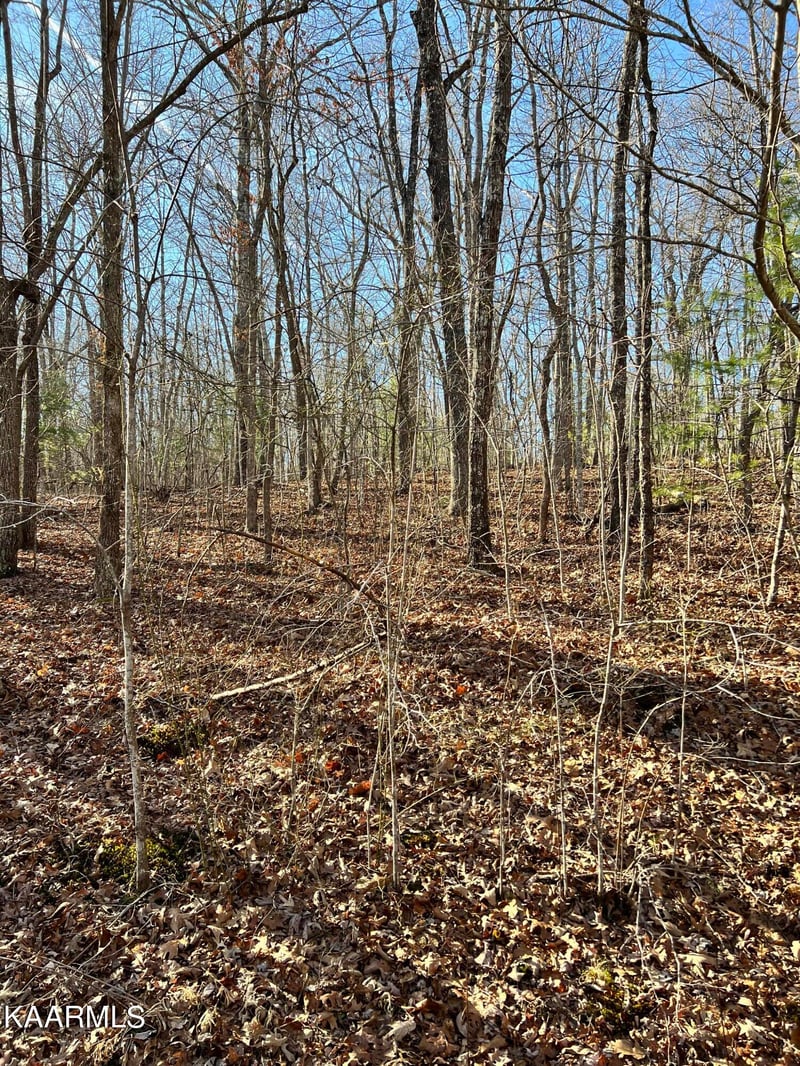 114 Hunterwood Ln, Crossville, TN 38558