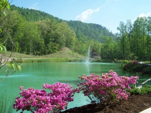 114 Leconte View Ln, Townsend, TN 37882