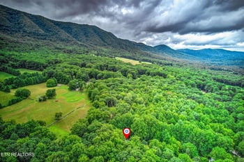 114 Pam Ln, Townsend, TN 37882