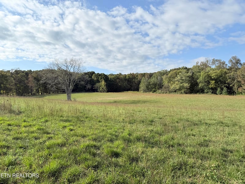 1140 Paint Rock Valley Rd, Philadelphia, TN 37846