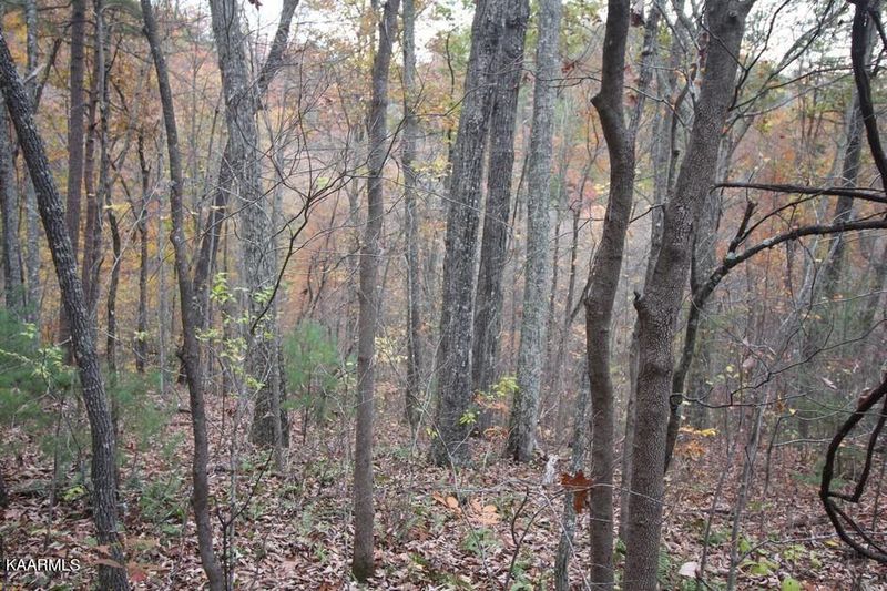 1141 Reagan Springs Rd, Townsend, TN 37882