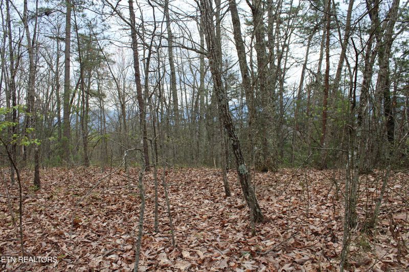 1145 Yellow Breeches Rd, Cosby, TN 37722