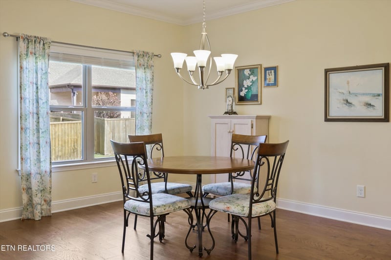 1146 Beech Tree Cv, Maryville, TN 37801
