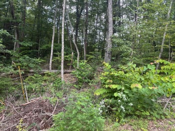 1146 Pine Mountain Rd, Pigeon Forge, TN 37862