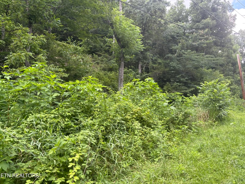 1146 Pine Mountain Rd, Pigeon Forge, TN 37862