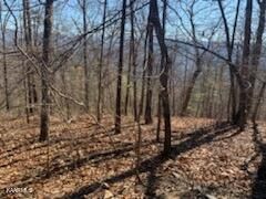 114E Settlers View Ln, Sevierville, TN 37876